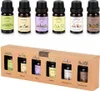 Vilde | Set d'huiles parfumées - lot de 6 - Parfum intense Voir les images du produit 1