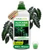 Purgrün Alocasia-Dünger | Flüssigdünger für Alocasien | 1L Produktbild-Vorschau 1