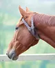 Shires Pferd Kopperriemen Leder ER128 (Cob) (Braun) Produktbild-Vorschau 3