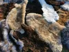 Echtes Schaffell  – rustikales Naturfell für Teppich, Produktbild-Vorschau 2