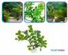 Aquarium Pflanzen Künstlich, 22 cm Kuenstlich 22 cm mit Produktbild-Vorschau 9