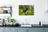 MuchoWow® Poster Vogel zwischen den Blättern im Dschungel Produktbild-Vorschau 3