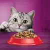 ‎Whiskas 5900951014345, Dospělý jedinec, Jakékoli plemeno, Náhled obrázku produktu 5