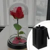 Ewige Rose unter Glas mit LED, rote Dekorationsrose, Produktbild-Vorschau 8