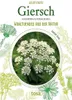 Giersch - Aegopodium Podagraria Produktbild-Vorschau 1