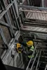 DeWALT Akku-Betonnagler DCN890N-XJ 18V - Nagelpistole für Produktbild-Vorschau 7