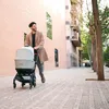 EASYWALKER Korba Rockey S/M/L Świeża zieleń Podgląd zdjęcia produktu 3