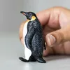 Zwierzę domowe - pingwin cesarski Podgląd zdjęcia produktu 8