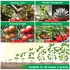 Collage of images showing the effects of a plant growth product on various plants, with text overlays describing benefits and stages of plant growth. Náhľad obrázku produktu