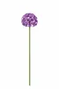 Gartenstecker Metall Allium lila Stecker Garten "ArtFerro" Produktbild-Vorschau 1