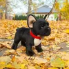 Plüsch Französische Bulldogge 30 cm Umweltfreundlich Produktbild-Vorschau 4