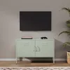 Lendo, nízka komoda pod televízor, 100x40x65 cm, zelená, Náhľad obrázku produktu 2