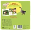 Mein großes Soundbuch - So klingt es auf dem Bauernhof Produktbild-Vorschau 2