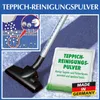A vacuum cleaner nozzle and a packet of carpet cleaning powder are shown on a carpet. Produktbild-Vorschau