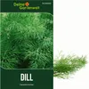 Dill Gewöhnlicher Samen - Anethum graveolens - Dillsamen - Produktbild-Vorschau 1