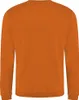 Pro RTX Herren Sweatshirt RW6174 (5XL) (Orange) Voir les images du produit 2