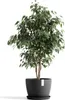 Pflanztopf Ecopots Stockholm Kunststoff Ø 31 cm H 23,5 cm Produktbild-Vorschau 9