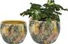 Two decorative plant pots with a tropical leaf and parrot design, one empty and one containing a plant. Voir les images du produit