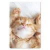 MuchoWow® Mauspad Mousepad Katze - Rot - Haustiere - Produktbild-Vorschau 1