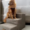 Scaletta per cani, Per animali malati e anziani, Ausilio Anteprima dell’immagine prodotto 11