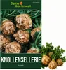 Knollensellerie Goliath Samen - Apium graveolens - Produktbild-Vorschau 1