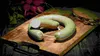 Pfälzer Spezialitäten Leberwurst im Ring 2 x ca. 375g Produktbild-Vorschau 2