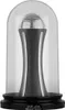 A trophy inside a clear dome on a black base. Anteprima dell’immagine prodotto
