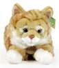 RAPPA Peluche chat tabby rouille 40 cm ECO-FRIENDLY Voir les images du produit 11