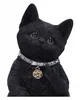 Freche Cattitude Katze zeigt Mittelfinger als Gothic Deko Produktbild-Vorschau 5