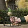 Mangeoire oiseaux avec protection - L 23,7 x P 23,7 x H Voir les images du produit 2