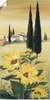 ARTland Poster Südliche Sonne I Größe: 30x60 cm Produktbild-Vorschau 1