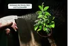A hand spraying a small plant with liquid fertilizer. Produktbild-Vorschau