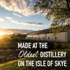 Talisker 10 Jahre Single Malt Scotch Whisky in Produktbild-Vorschau 3
