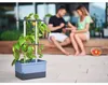 Gusta Garden CHARLY CHILY Standard-Pflanzgefäß zur Produktbild-Vorschau 10