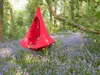Cacoonworld Hängehöhle "Cacoon", Rot, Single, ø 1,5 m Produktbild-Vorschau 10