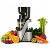 4Swiss Swan BM 105 Slow Juicer Entsafter - Kaltentsafter Produktbild-Vorschau 1