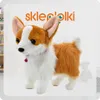 Lolex | Interaktiver Hund - Corgi - Bunt - Realistische Produktbild-Vorschau 10
