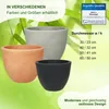 MePla - Pflanzkübel Siena ø 60 anthrazit Produktbild-Vorschau 3
