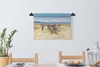 MuchoWow® Wandteppich Wandbehang Zebraherde im Produktbild-Vorschau 3