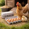100 - Eierkartons, Eierschachteln, Eierpappe, Produktbild-Vorschau 6