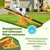 PawHut Altalena per cani Altalena per agility Giocattolo Anteprima dell’immagine prodotto 7