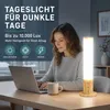 Lichttherapielampe 10000 Lux, 360° Tageslichtlampe in Produktbild-Vorschau 2