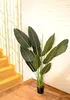 DIXIE STORE Strelitzia - Plante artificielle, fleurs Voir les images du produit 3