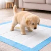 A golden retriever puppy is standing on a pet training pad in a room. Produktbild-Vorschau