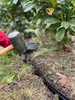 Wovar - Eco Bordures de gazon / Bordures de jardin en Voir les images du produit 5