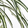 Mica Decorations Chlorophytum Kunstpflanze im Blumentopf Produktbild-Vorschau 3