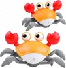 Lolex | Krabben Spielzeug - 23 × 12,5 × 10,5 Cm - Produktbild-Vorschau 7