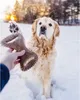 Benebone Dental Chew bekon M Podgląd zdjęcia produktu 4