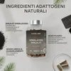 Capsule di Shilajit Aavalabs | 50% di acido fulvico | Anteprima dell’immagine prodotto 3