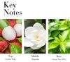 Elizabeth Arden Green Tea Lychee Lime Eau de Toilette, 100 Voir les images du produit 8